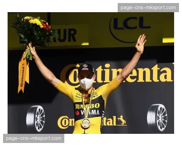 珍宝车队确认范阿尔特将休战两周,以治疗轻微的背部不适 珍宝车队确认范阿尔特将休战两周,以治疗轻微的背部不适